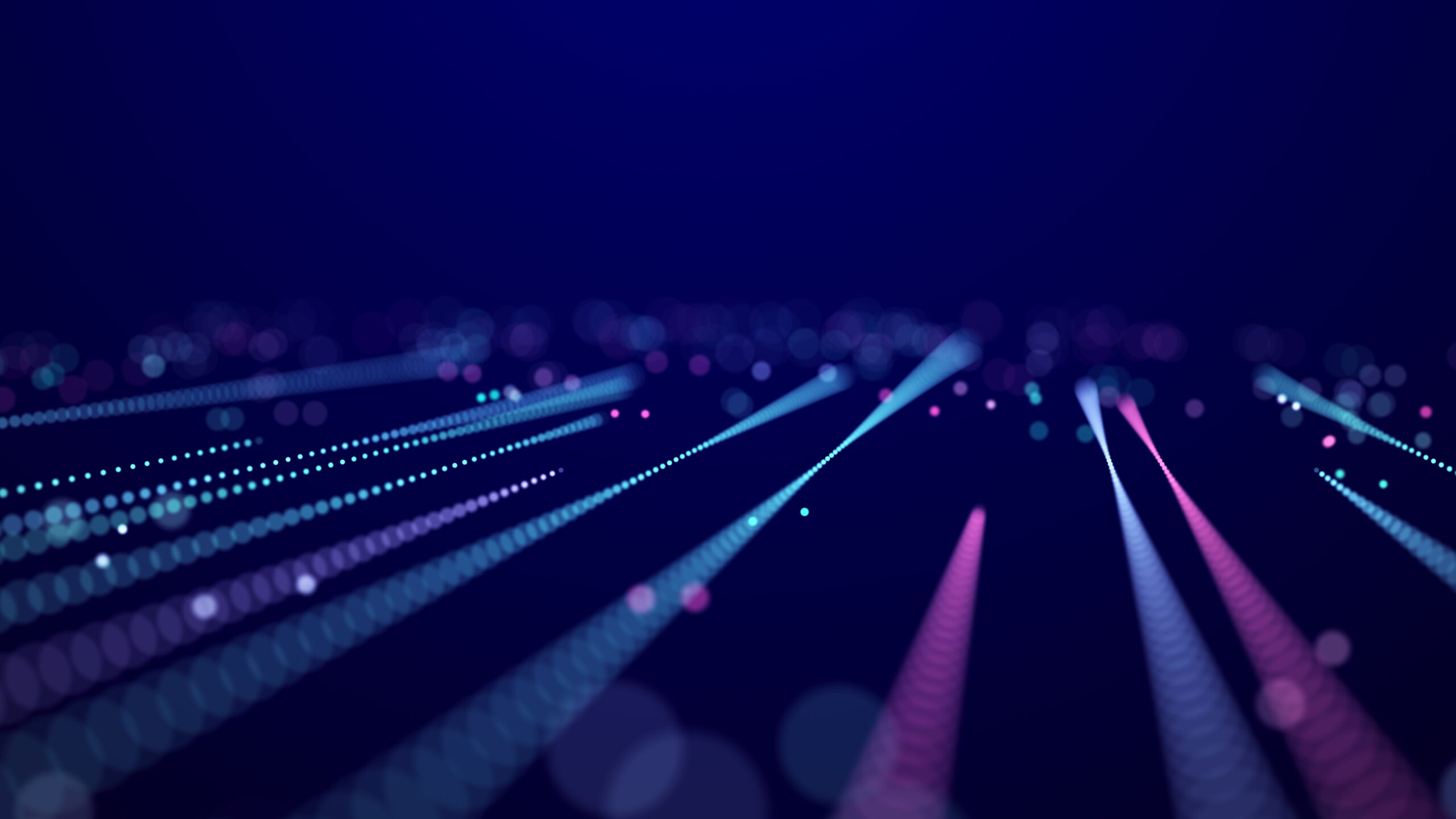 Interview met Pearl Dykstra: samen bouwen aan een sterke ‘Digitale SSH’